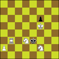 Шахматная задача №63848