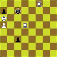 Шахматная задача №64052