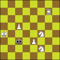 Шахматная задача №64058