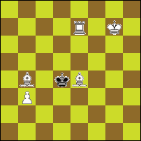 Шахматная задача №72455