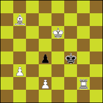 Шахматная задача №72675