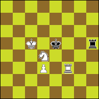 Шахматная задача №72713