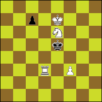 Шахматная задача №73005
