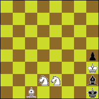 Шахматная задача №73011