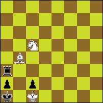 Шахматная задача №73062