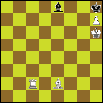 Шахматная задача №73181