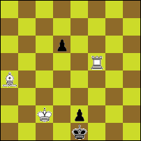 Шахматная задача №73243