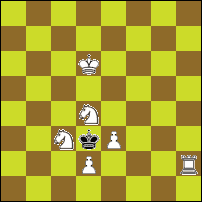 Шахматная задача №73493
