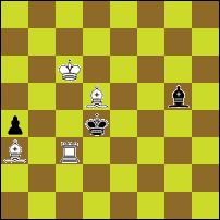Шахматная задача №73554