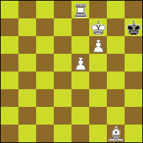 Шахматная задача №73571