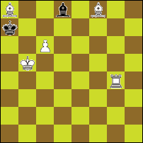 Шахматная задача №73593