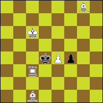 Шахматная задача №73730