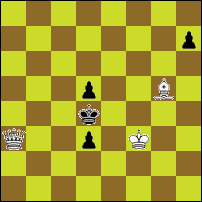 Шахматная задача №73771