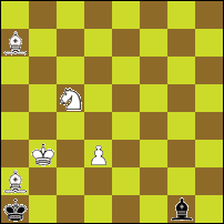 Шахматная задача №74023