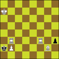 Шахматная задача №74029