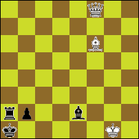 Шахматная задача №74048
