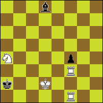 Шахматная задача №74049