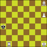 Шахматная задача №74055