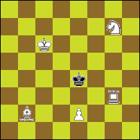 Шахматная задача №74058