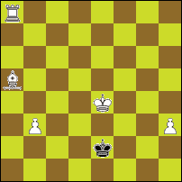 Шахматная задача №74063