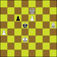 Шахматная задача №74066