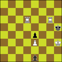 Шахматная задача №74074