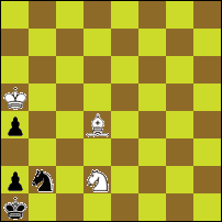 Шахматная задача №74075