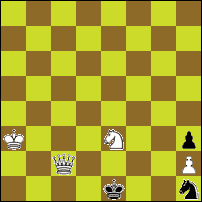 Шахматная задача №74080