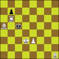 Шахматная задача №74093