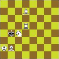 Шахматная задача №74111