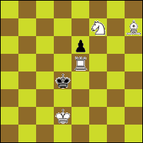 Шахматная задача №74120
