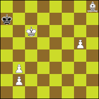 Шахматная задача №74158