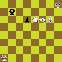 Шахматная задача №74250