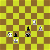 Шахматная задача №74290