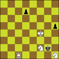Шахматная задача №74299