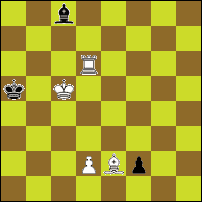 Шахматная задача №74324