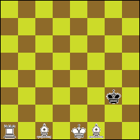 Шахматная задача №74356