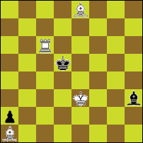 Шахматная задача №74418
