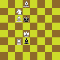 Шахматная задача №74495