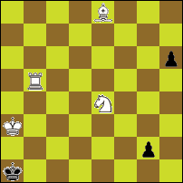 Шахматная задача №74578