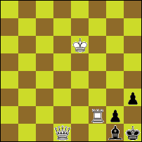 Шахматная задача №74579
