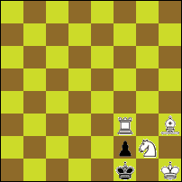 Шахматная задача №74641