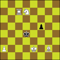 Шахматная задача №74711