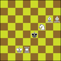 Шахматная задача №74852