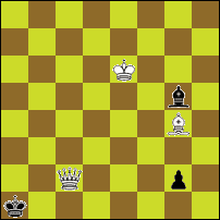 Шахматная задача №75095