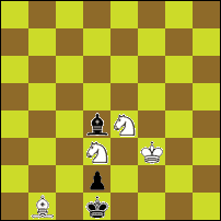 Шахматная задача №75101