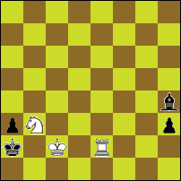 Шахматная задача №75427