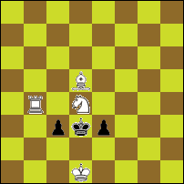 Шахматная задача №75716