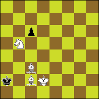 Шахматная задача №76042