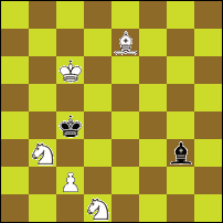 Шахматная задача №76060